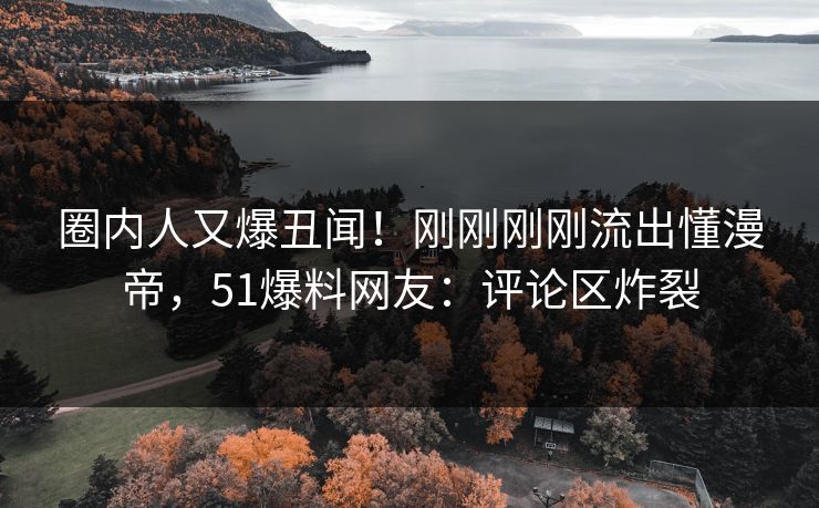 圈内人又爆丑闻！刚刚刚刚流出懂漫帝，51爆料网友：评论区炸裂