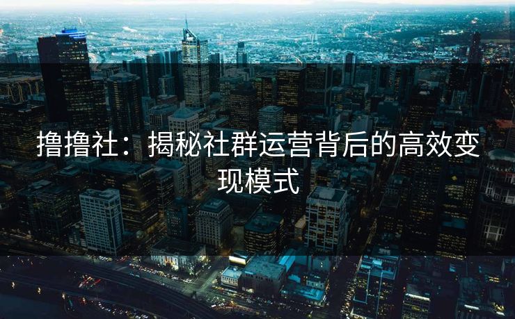 撸撸社:揭秘社群运营背后的高效变现模式 撸撸社:揭秘社群运营背后的高效变现模式
