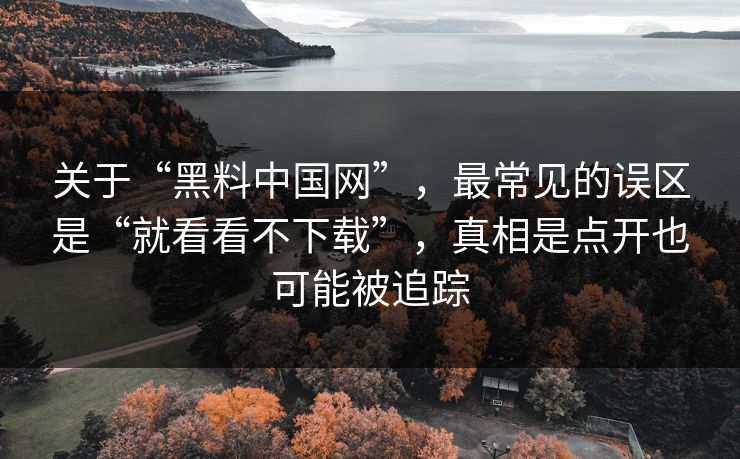 关于“黑料中国网”，最常见的误区是“就看看不下载”，真相是点开也可能被追踪